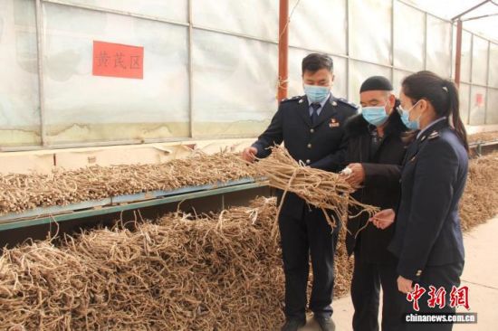 资料图为税务人员深入民营企业了解经营及备耕情况。黄龙 摄