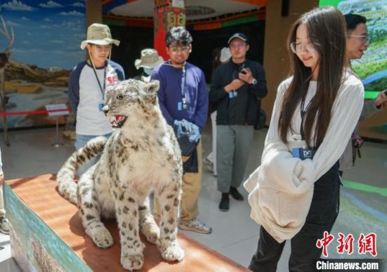 图为嘉宾参访“澜沧江源第一县”青海杂多县的一处生态展厅。马铭言 摄 图为嘉宾参访“澜沧江源第一县”青海杂多县的一处生态展厅。马铭言 摄