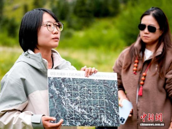 图为工作人员介绍红外相机布设情况。山水自然保护中心供图