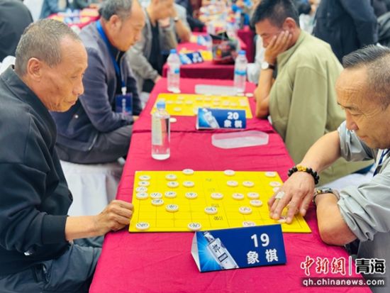 图为象棋比赛现场。孙睿 摄