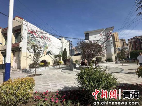 图为口袋公园。大通县委宣传部 供图 图为口袋公园。大通县委宣传部 供图