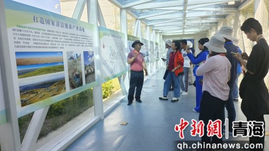 图为海外华文媒体开展实地采访活动。陈元邦摄 图为海外华文媒体开展实地采访活动。陈元邦摄