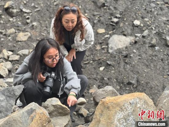 图为参访者正在观察化石。李江宁 摄 图为参访者正在观察化石。李江宁 摄