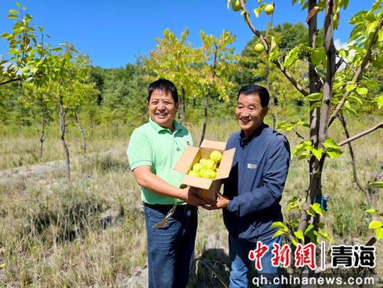 图为淤塞河道已疏通，岸边杂草换成错落灌木、果林与生态乔木。青海省生态环境厅 供图