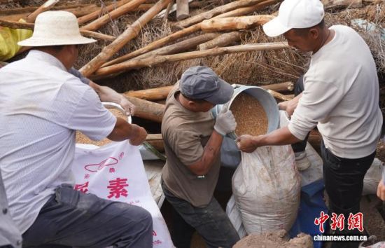 图为拉扎村村民抢救倒塌房屋下的存粮。祁妙摄