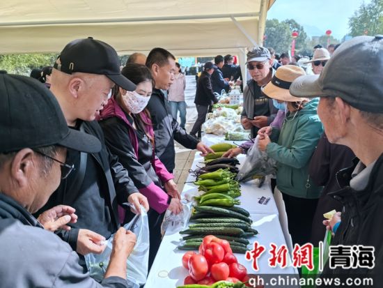 图为活动现场。李隽 摄 图为活动现场。李隽 摄