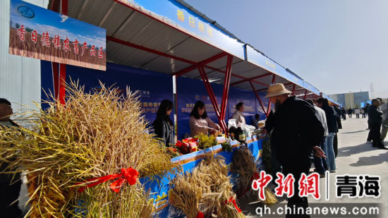 图为活动现场。希日尖措 摄 图为活动现场。希日尖措 摄