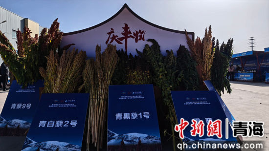 图为活动现场。希日尖措 摄 图为活动现场。希日尖措 摄