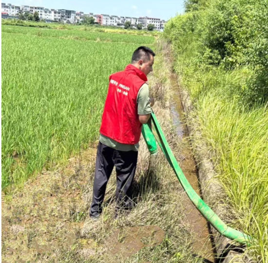 平安产险志愿者深入田间地头，帮助受灾农户抗旱保产。