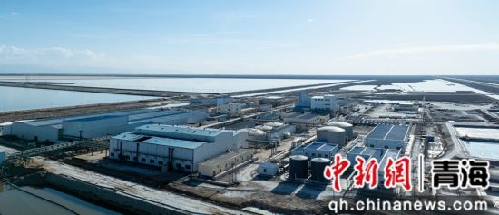 图为企业全貌。 受访者 供图 图为企业全貌。 受访者 供图