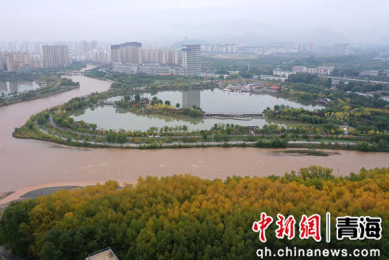 图为航拍青海省海东市乐都区秋景如画。 张忠苹 摄