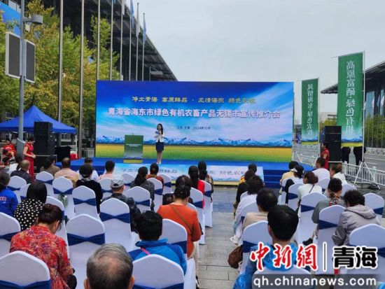 图为活动现场。李佳 供图 图为活动现场。李佳 供图