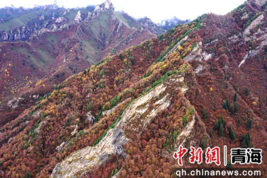 图为航拍的北山国家森林地质公园扎龙沟秋景。 张忠苹 摄