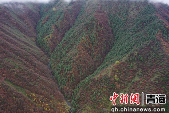 图为扎碾公路沿路的风光。 张忠苹 摄