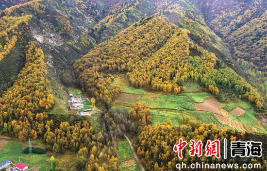 图为扎碾公路沿路的风光。 张忠苹 摄