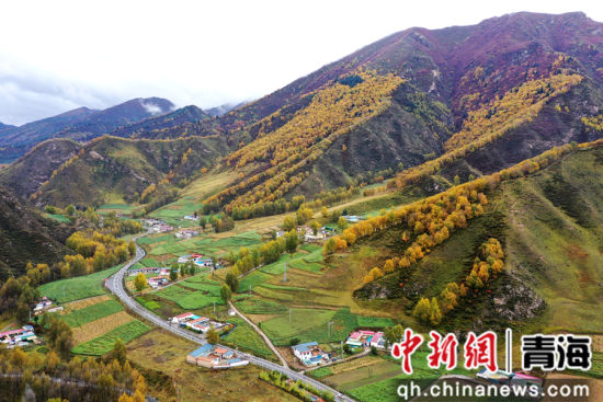 图为扎碾公路一景。 张忠苹 摄
