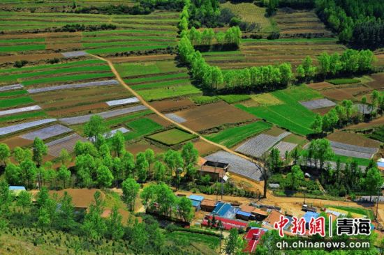 图为大通县乡村景色。大通县委宣传部 供图 图为大通县乡村景色。大通县委宣传部 供图