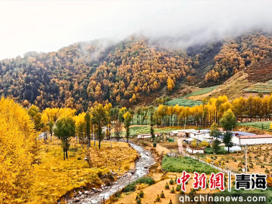 图为海东市乐都区仓家峡秋景迷人。赵红莹 摄