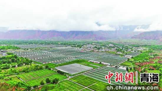 图为循化撒拉族自治县“黄河彩篮”高原现代农业产业园。海东市委宣传部供图
