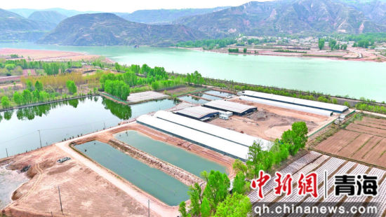 民和县中川乡淡水鱼养殖基地博士后科研工作站。海东市委宣传部供图