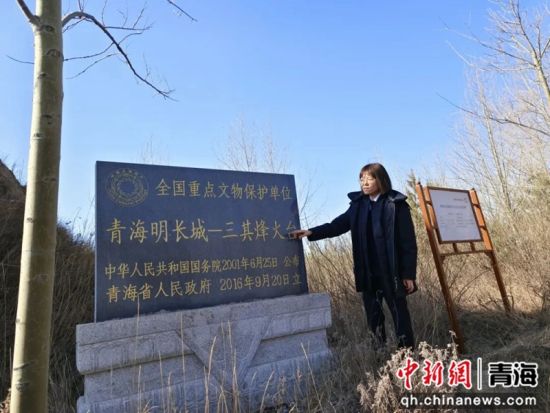 图为进行实地调查。马翠花供图 图为进行实地调查。马翠花供图