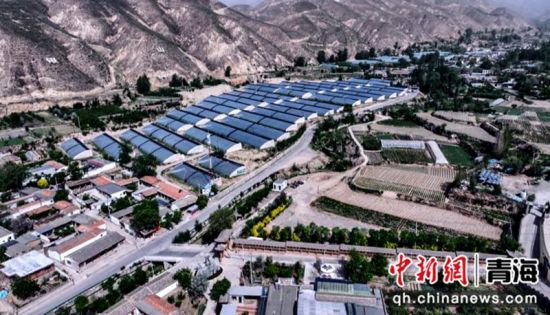 图为乐都乡村。乐都区委宣传部 供图 图为乐都乡村。乐都区委宣传部 供图