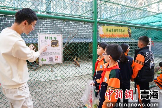 图为西宁市文逸小学教师向学生介绍动物生活习性相关知识。 马铭言 摄 图为西宁市文逸小学教师向学生介绍动物生活习性相关知识。 马铭言 摄