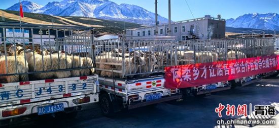 图为活动现场。赵海峰 摄 图为活动现场。赵海峰 摄