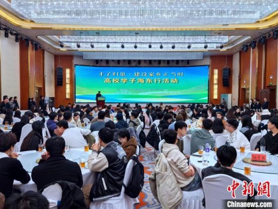 图为高校学子海东行政务活动现场。李隽 摄 图为高校学子海东行政务活动现场。李隽 摄