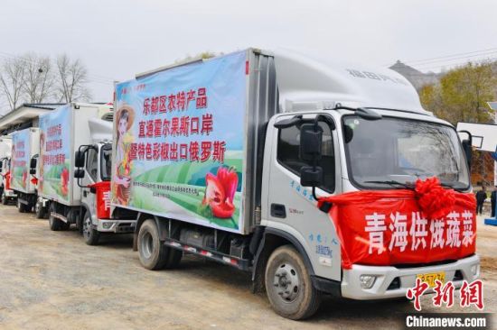 11月15日,运载着20吨彩椒的货车缓缓驶出种植基地,将通过霍尔果斯口岸运往俄罗斯。 西宁海关 供图 11月15日,运载着20吨彩椒的货车缓缓驶出种植基地,将通过霍尔果斯口岸运往俄罗斯。 西宁海关 供图