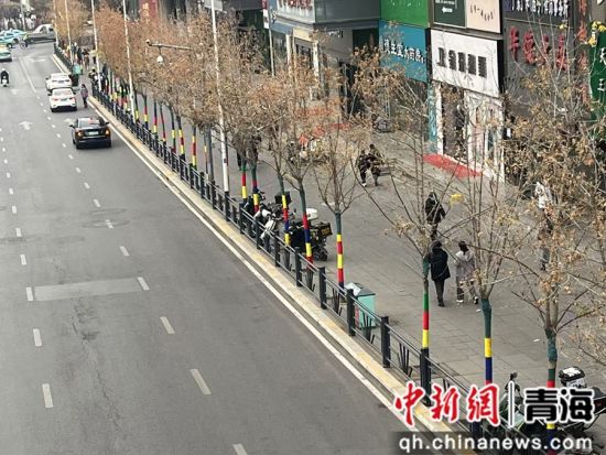图为西宁市城中区穿“新衣”的行道树。城中区市政公用服务中心供图 图为西宁市城中区穿“新衣”的行道树。城中区市政公用服务中心供图