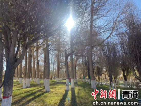 图为将军楼绿地。鲍娜好 摄 图为将军楼绿地。鲍娜好 摄