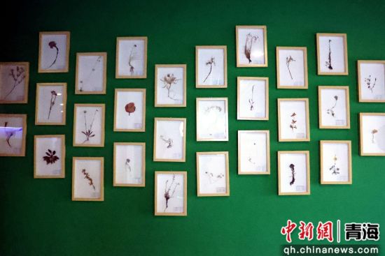 ͼϊ䬺�ʪ����̬�۾�����һ�ǡ�ѧ�� �� ͼϊ䬺�ʪ����̬�۾�����һ�ǡ�ѧ�� ��