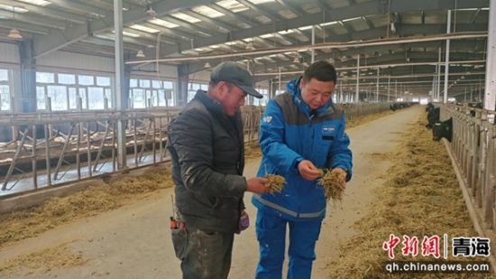图为王明亮(右)和拌料工查看饲料配比。俞惠珍供图 图为王明亮(右)和拌料工查看饲料配比。俞惠珍供图