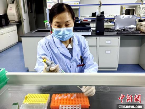 图为青海省地方病预防控制所副所长张青雯开展实验。赵忠智 供图 图为青海省地方病预防控制所副所长张青雯开展实验。赵忠智 供图