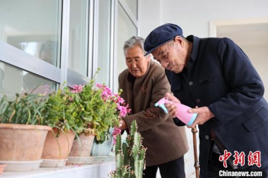 12月6日,青海都兰,史正章老人(右)与老伴一起在家浇花。 薛蒂 摄 12月6日,青海都兰,史正章老人(右)与老伴一起在家浇花。 薛蒂 摄